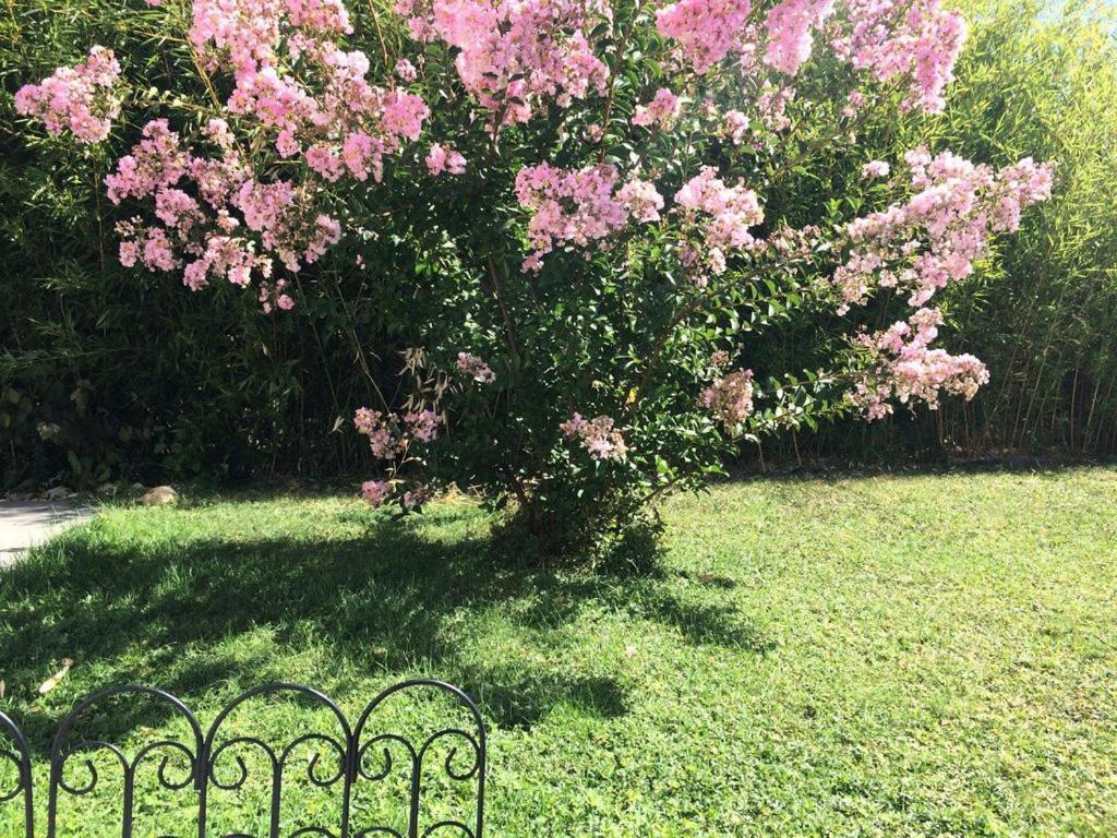 סן-סיר-סור-לואר Cottage La Villa Bolero מראה חיצוני תמונה